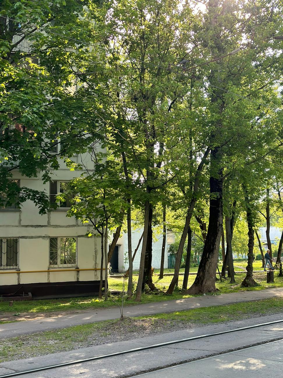 Lakeshore Retreat