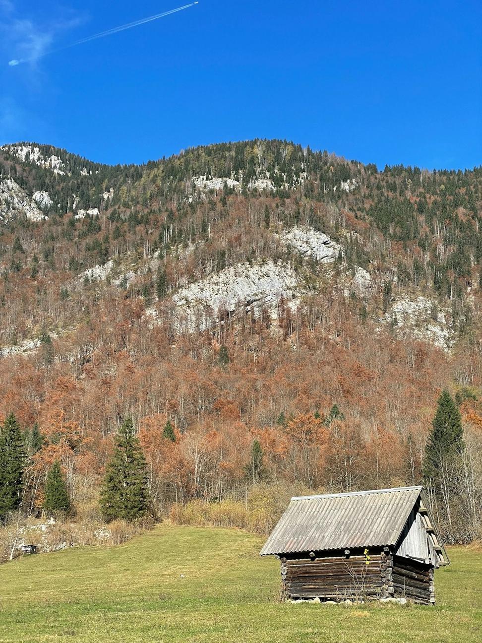 Alpine Sanctuary
