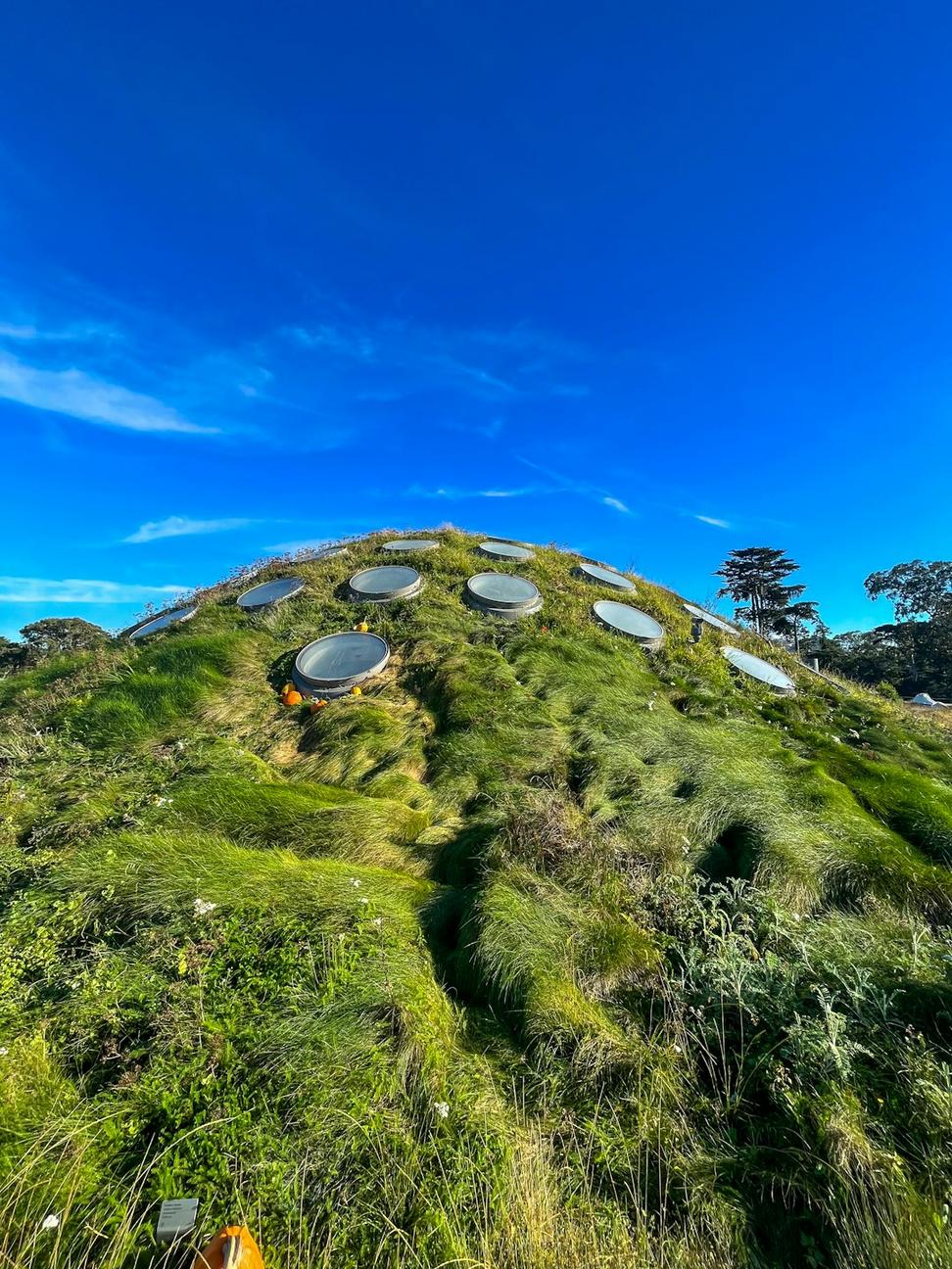 Modern Sustainable Architecture